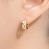 Edge Modern Hoop Earrings EMSM4964