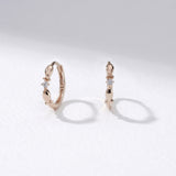 Lucky Fish Hoop Earrings ETRM4400