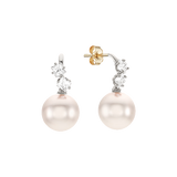 Pearl Square Stud Earrings ETRM4134