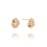 Riella Stud Earrings EJCM4273