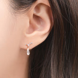 Stunning Drop Earrings EJCM4209