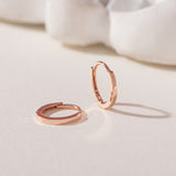 Everyday Basic Hoop Earrings ETRM4334