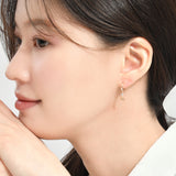 Heart Shine Hoop Earrings EMSM4967