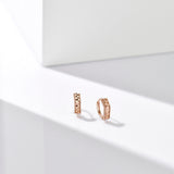 Angle cutting Earrings ETRM4411