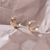 Hollow volume Stud Earrings EAMM4013