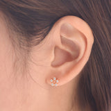 Mondria Star Stud Earrings ENOM4118