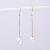 Brill Drop Pearl Earrings EMSM4949