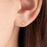 Petit Fish Piercing ECPM4211