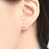 Delphinium Earrings EMSS4818