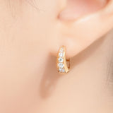 Brilliant Hoop Earrings ETRM4401