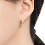 Brilliant Hoop Earrings ETRM4401