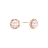 Raina Pearl Stud Earrings EAMM4554