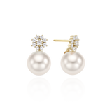 Fresh Water Pearl Dahlia Earrings ETRS4096