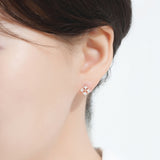 Square Shield Earrings ENOM4192