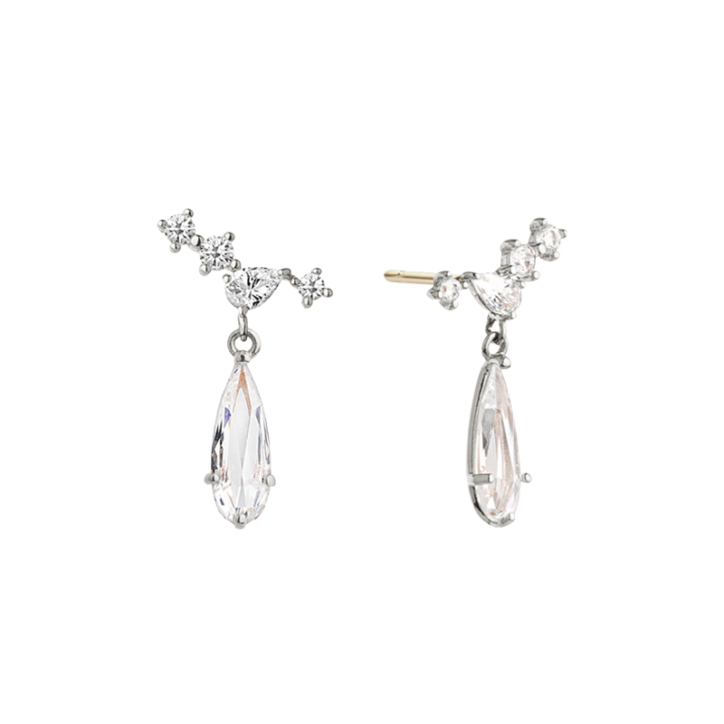 Stunning Drop Earrings EJCM4209