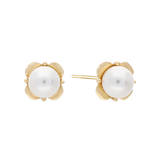 14k Gold Aubrie Pearl Earrings EETM4525