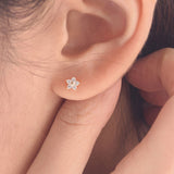 Fria Flower Stud Earrings ENOM4117